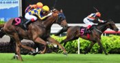 Under Joao Moreira's urgings Mr Magnus quickens nicely to get the measure of his rivals.<br>Photo by Singapore Turf Club